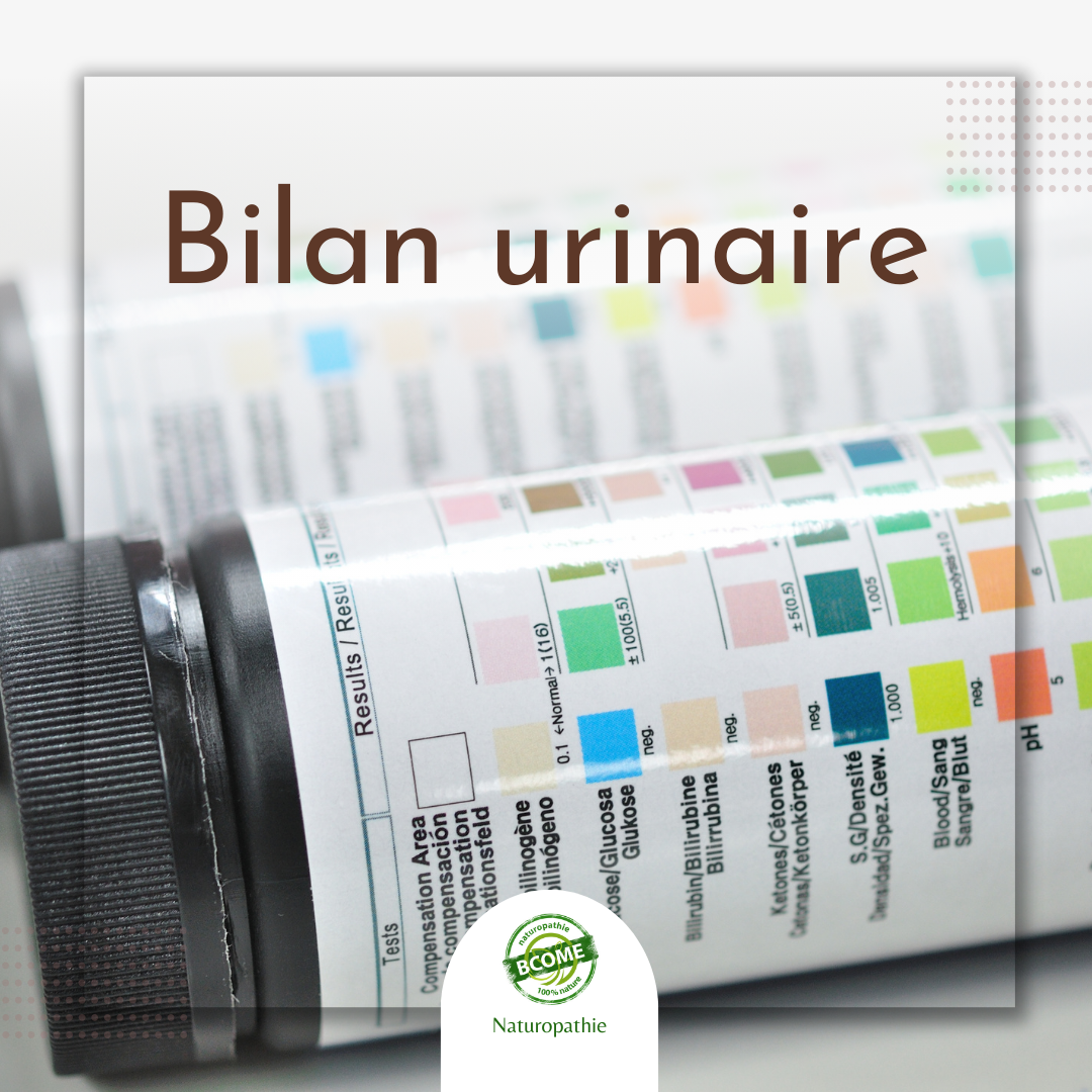 Analyse urinaire